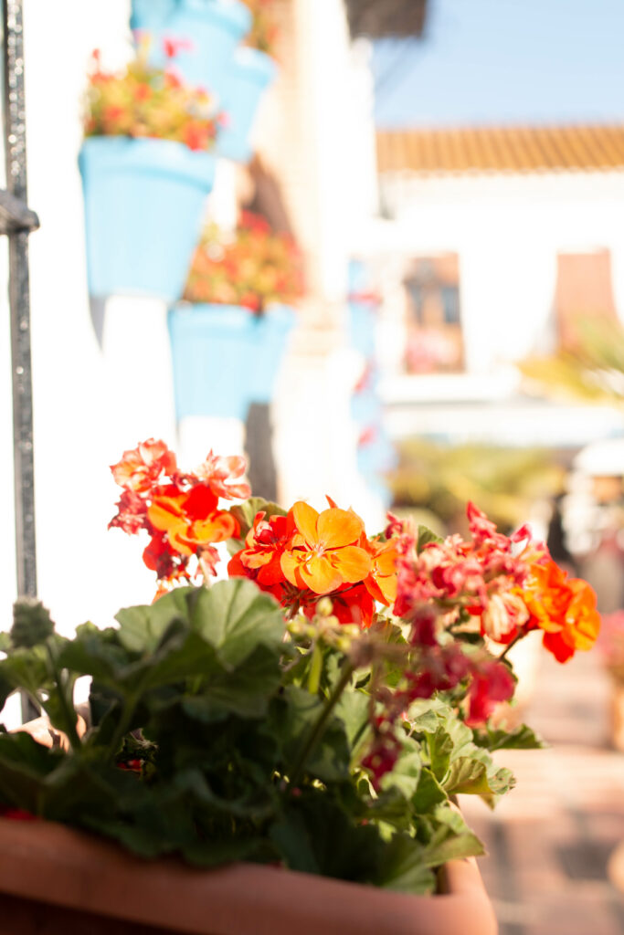 Joyful Flowers